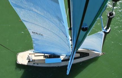 sailing yacht tulip